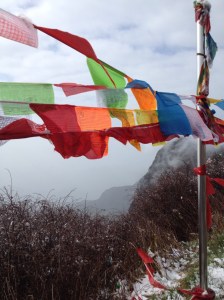 Here is the admiration