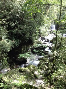 Natural beauty - can't argue with that!